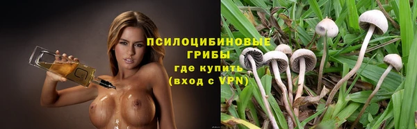 прущая мука Алзамай