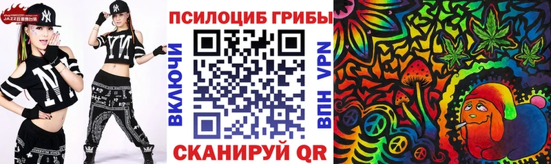 Псилоцибиновые грибы Psilocybe  цена наркотик  mega онион  Ленинск-Кузнецкий 
