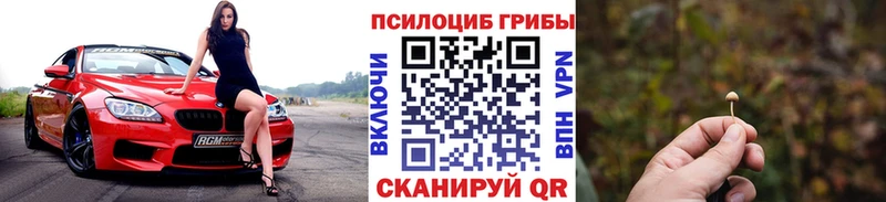 Галлюциногенные грибы Psilocybine cubensis Ленинск-Кузнецкий